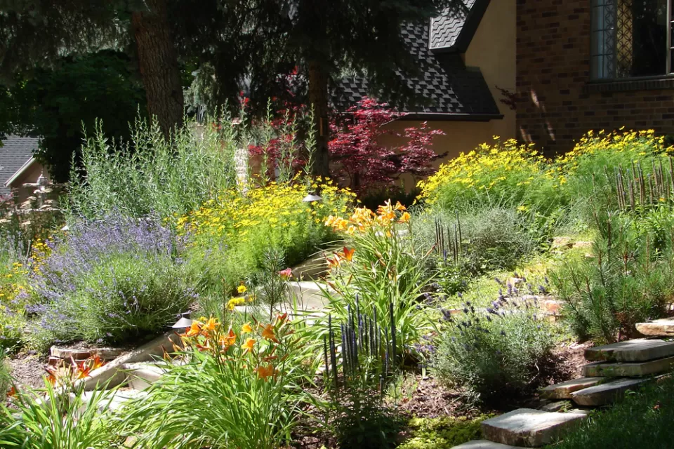 Front yard landscaped with native plants and flowers